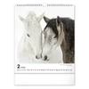 Falinaptár REALSYSTEM 300x340mm álló Horses 2026.