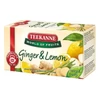 Gyümölcstea TEEKANNE World of Fruits gyömbér-citrom 20x2,5 g