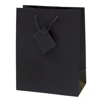 Dísztasak CREATIVE Special Simple M 18cm x 23cm x 10 cm egyszínű fekete zsinórfüles
