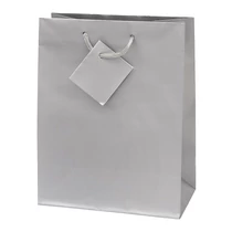 Dísztasak CREATIVE Special Simple S 11cm x 13cm x 6 cm egyszínű ezüst zsinórfüles