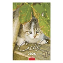 Falinaptár CSG 210x320mm álló Cicák 2026. Falinaptár CSG 210x320mm álló Cicák 2026.