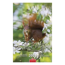 Falinaptár CSG 210x320mm álló Erdeink világa 2026.