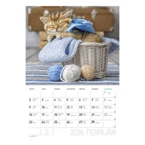 Falinaptár LIZZY CARD A/4 álló Cicák 2026. Falinaptár LIZZY CARD A/4 álló Cicák 2026.