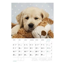 Falinaptár LIZZY CARD A/4 álló Kutyák 2026. Falinaptár LIZZY CARD A/4 álló Kutyák 2026.