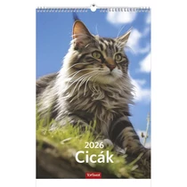 Falinaptár TOPTIMER T094 220x330mm álló Cicák 2026. Falinaptár TOPTIMER T094 220x330mm álló Cicák 2026.