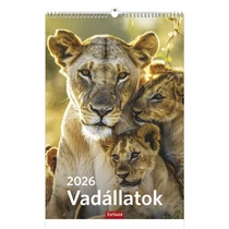 Falinaptár TOPTIMER T094 220x330mm álló Vadállatok 2026. Falinaptár TOPTIMER T094 220x330mm álló Vadállatok 2026.