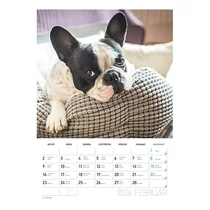 Falinaptár spirálozott  LIZZY CARD B/4 álló Kutyák 2026. Falinaptár spirálozott  LIZZY CARD B/4 álló Kutyák 2026.