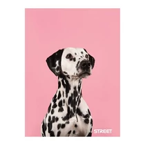 Füzet kockás STREET A/4 54 lapos Friends Füzet kockás STREET A/4 54 lapos Friends