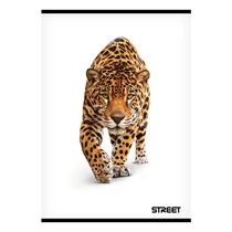 Füzet sima STREET A/4 54 lapos Safari Füzet sima STREET A/4 54 lapos Safari