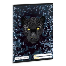 Füzet vonalas ARS UNA A/5 32 lapos 12-32 3.osztályos Black Panther