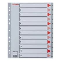 Regiszter ESSELTE A/4 maxi műanyag 1-12 szürke