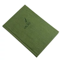 Vendégkönyv REALSYSTEM Fashion A/4 144 lapos sima zöld Vendégkönyv REALSYSTEM Fashion A/4 144 lapos sima zöld