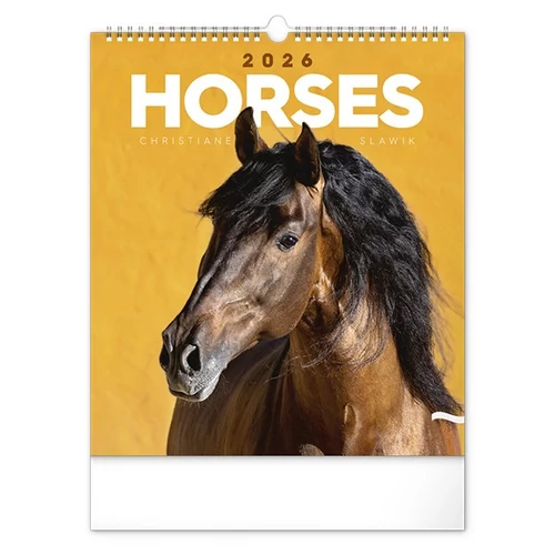 Falinaptár REALSYSTEM 300x340mm álló Horses 2026.